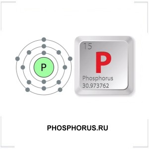 PHOSPHORUS.RU PHOSPHORUS.RU